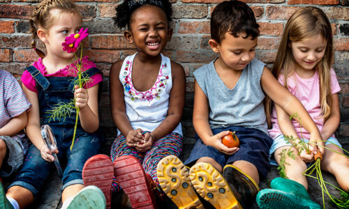 Racial Identity Development